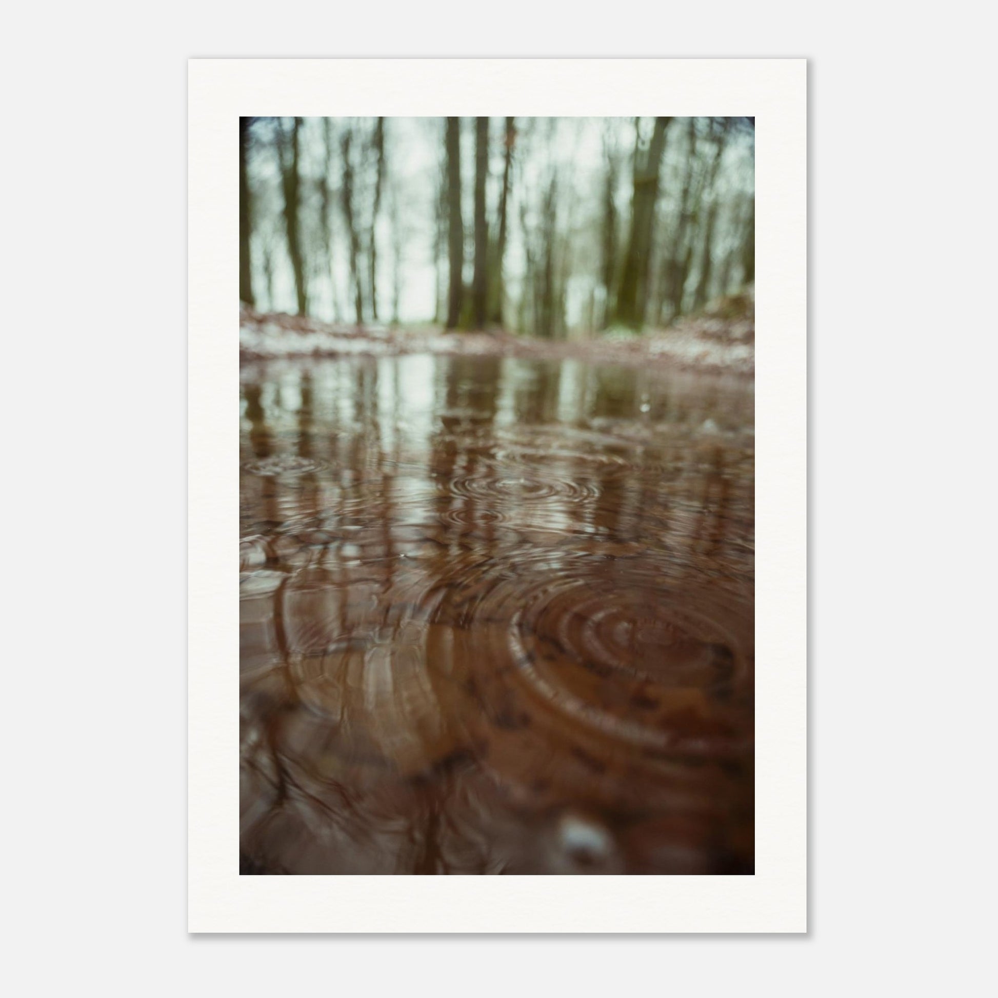 2d17d448-362e-4615-9693-d8dcd31df7ed