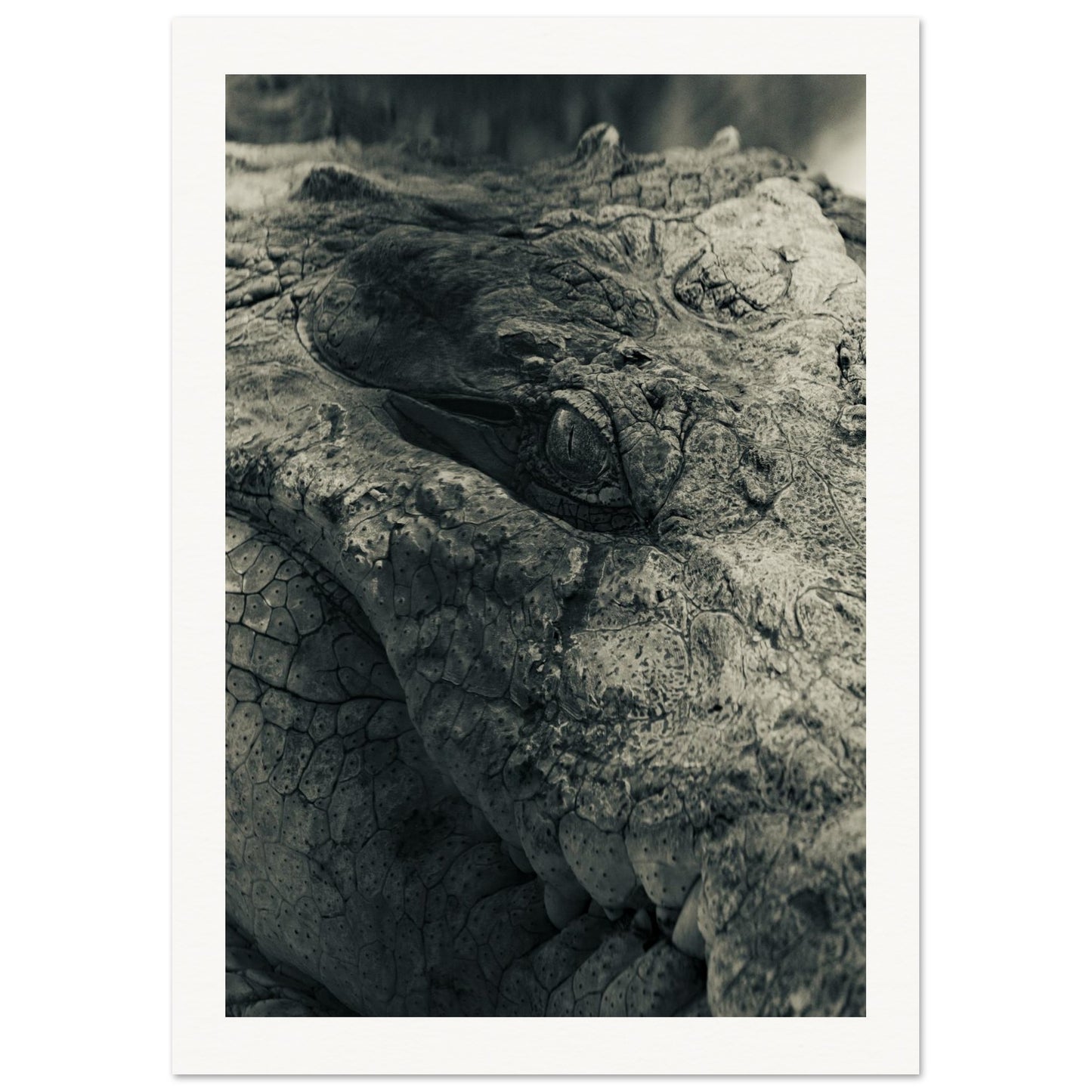 2d310c8e-8f82-4e2e-8776-703369d8c922