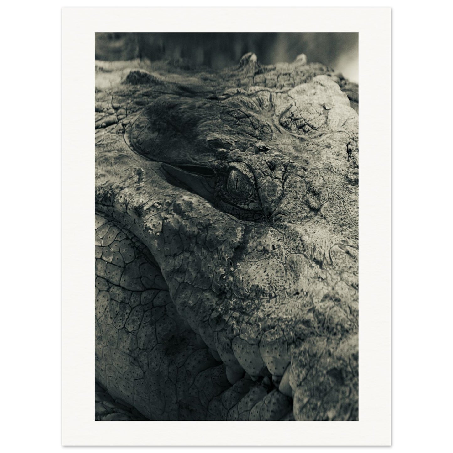 2ebffe15-5f16-421d-9651-ef3728cbff7a