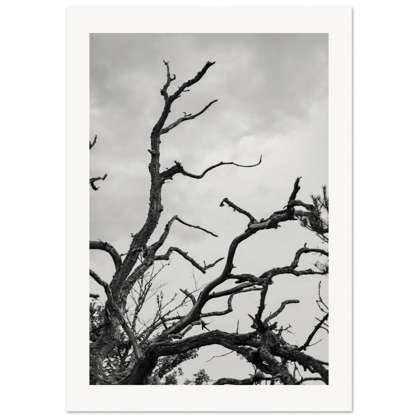 2ec8c925-901d-4601-be32-bc7d091f78ee