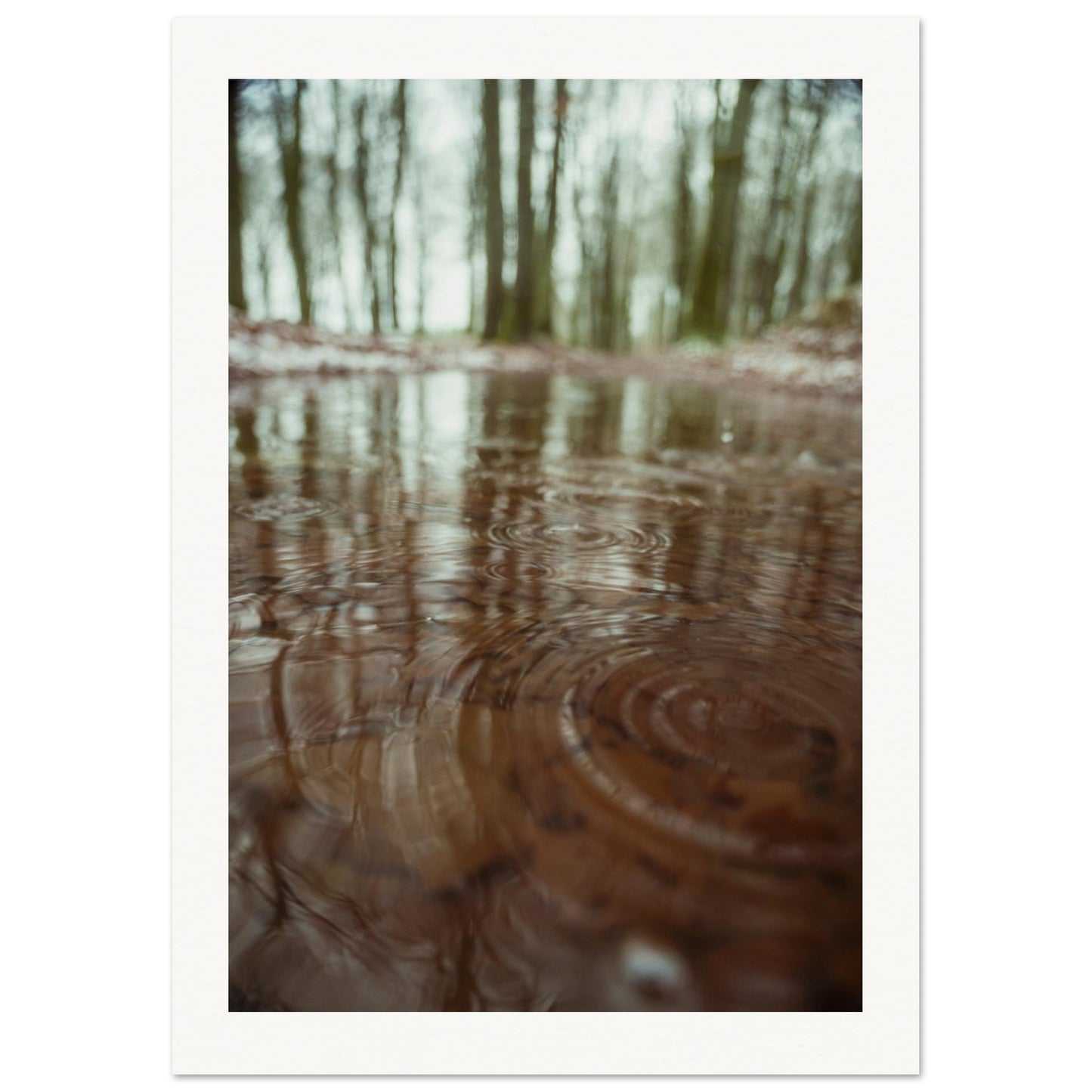 2ed81c23-8b41-4fee-aba6-95010759588a