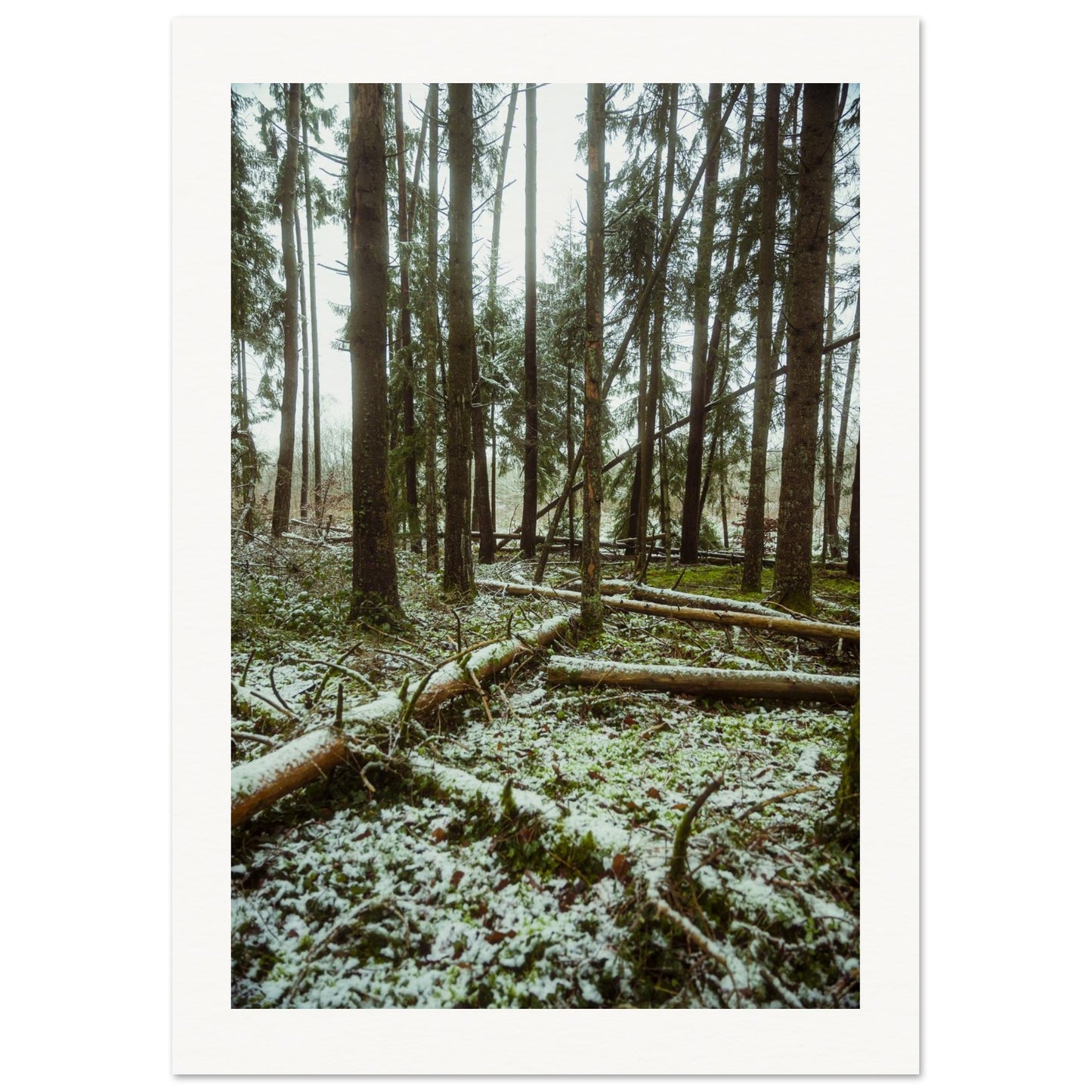 2f61ad32-9432-4460-82d7-0850da26fe2e