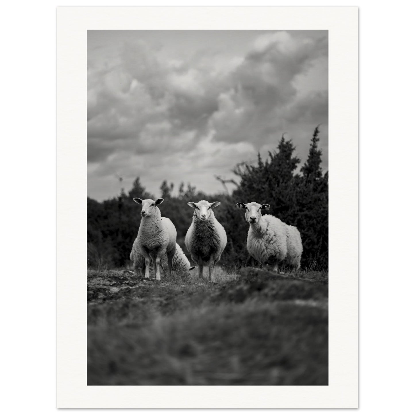 300dd5aa-1b75-4444-a2b7-215d630f81bd