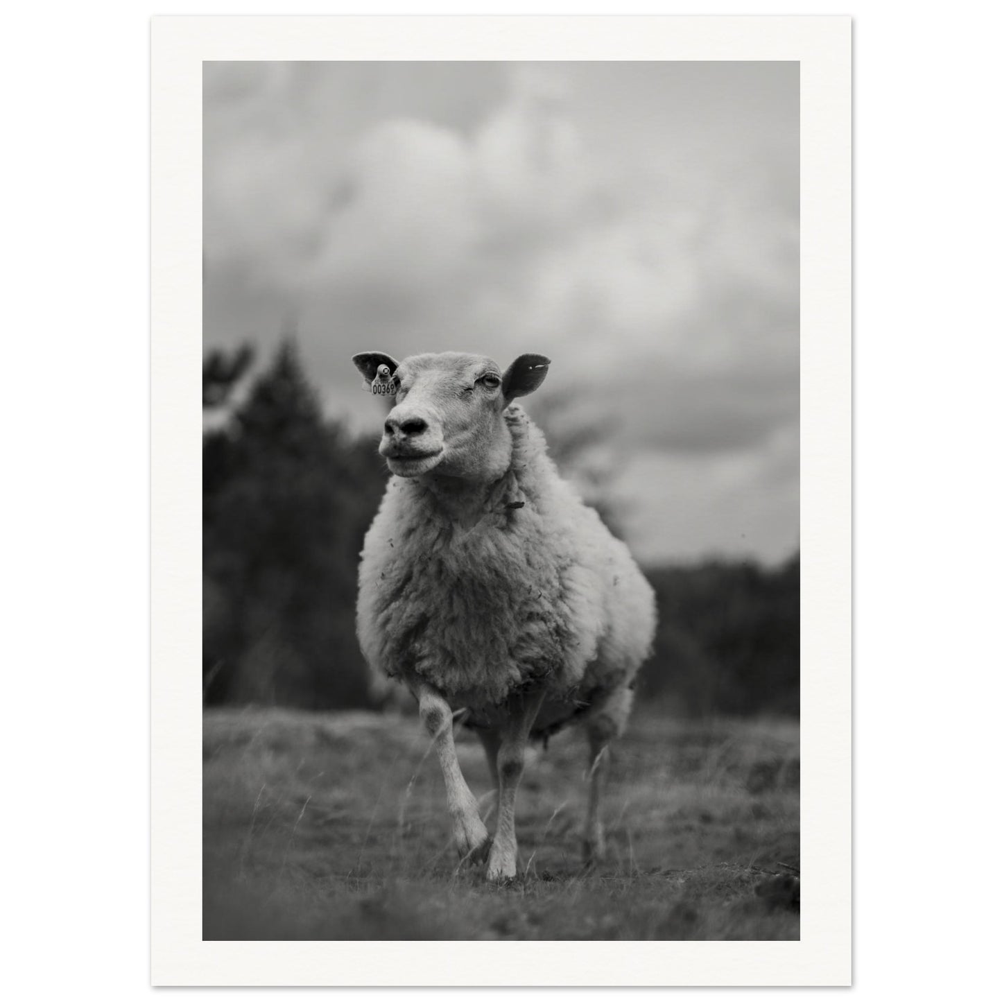 30a35cb9-bb29-4155-baa3-e0fb117b6cc4