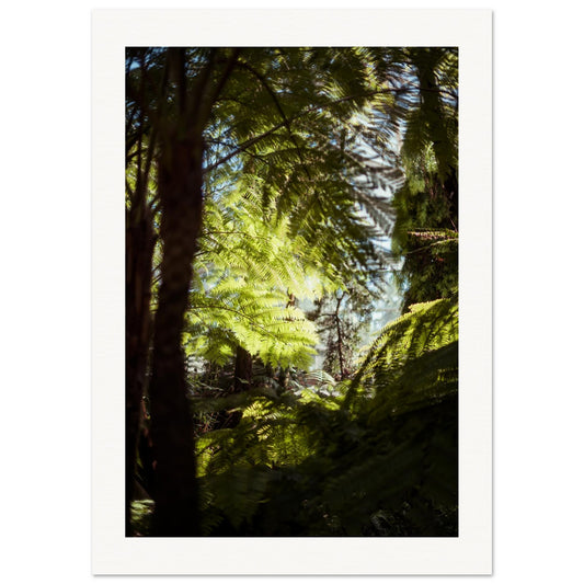 319cac8b-c5e5-4fb9-8b3c-4cf17aaa3c00