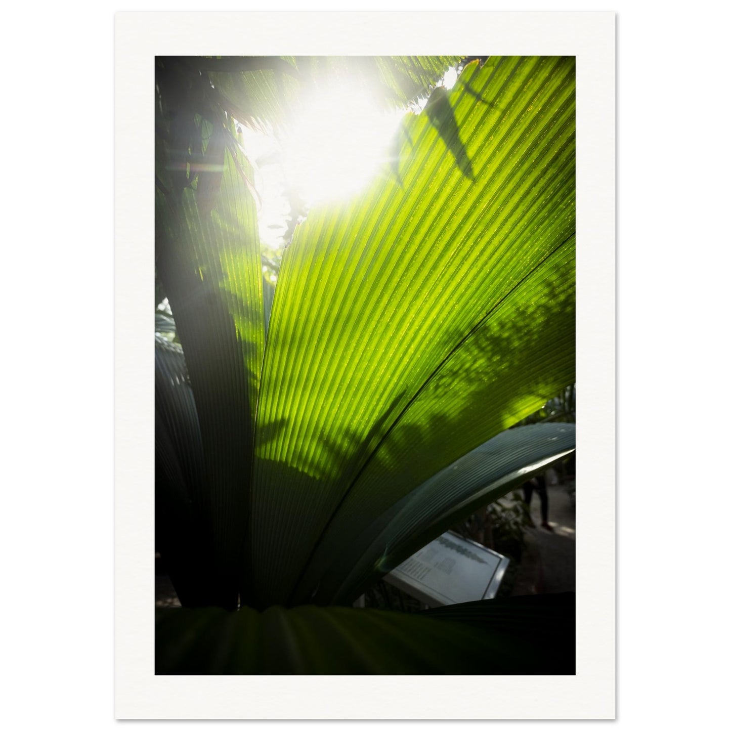 3255c193-fade-46c1-a829-96d88884816a