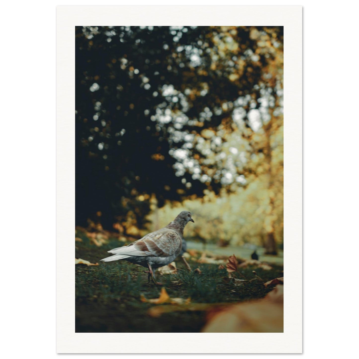 3481a781-ba67-49f7-b2e8-324db86a6e35