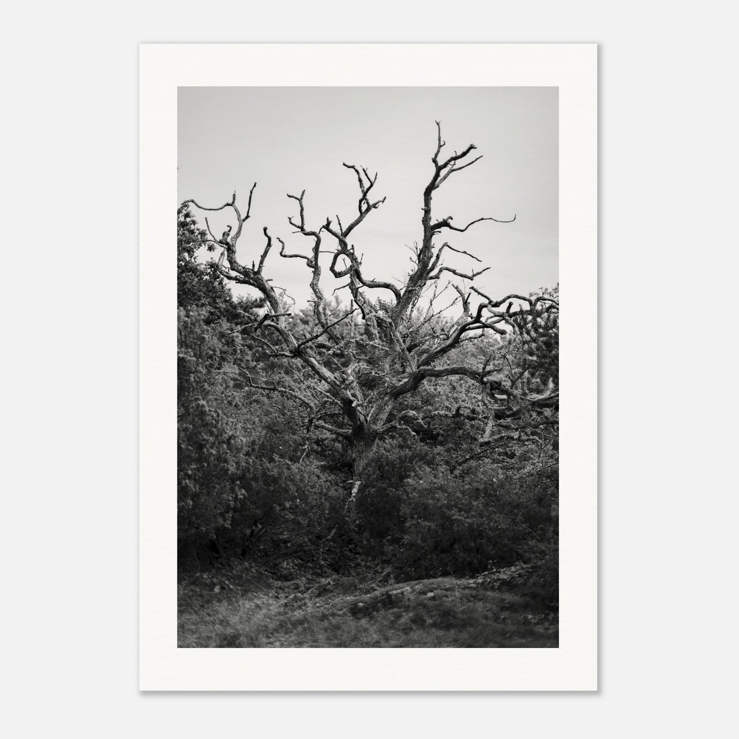 34dad097-4a58-48ea-a388-d5ac65ddb857