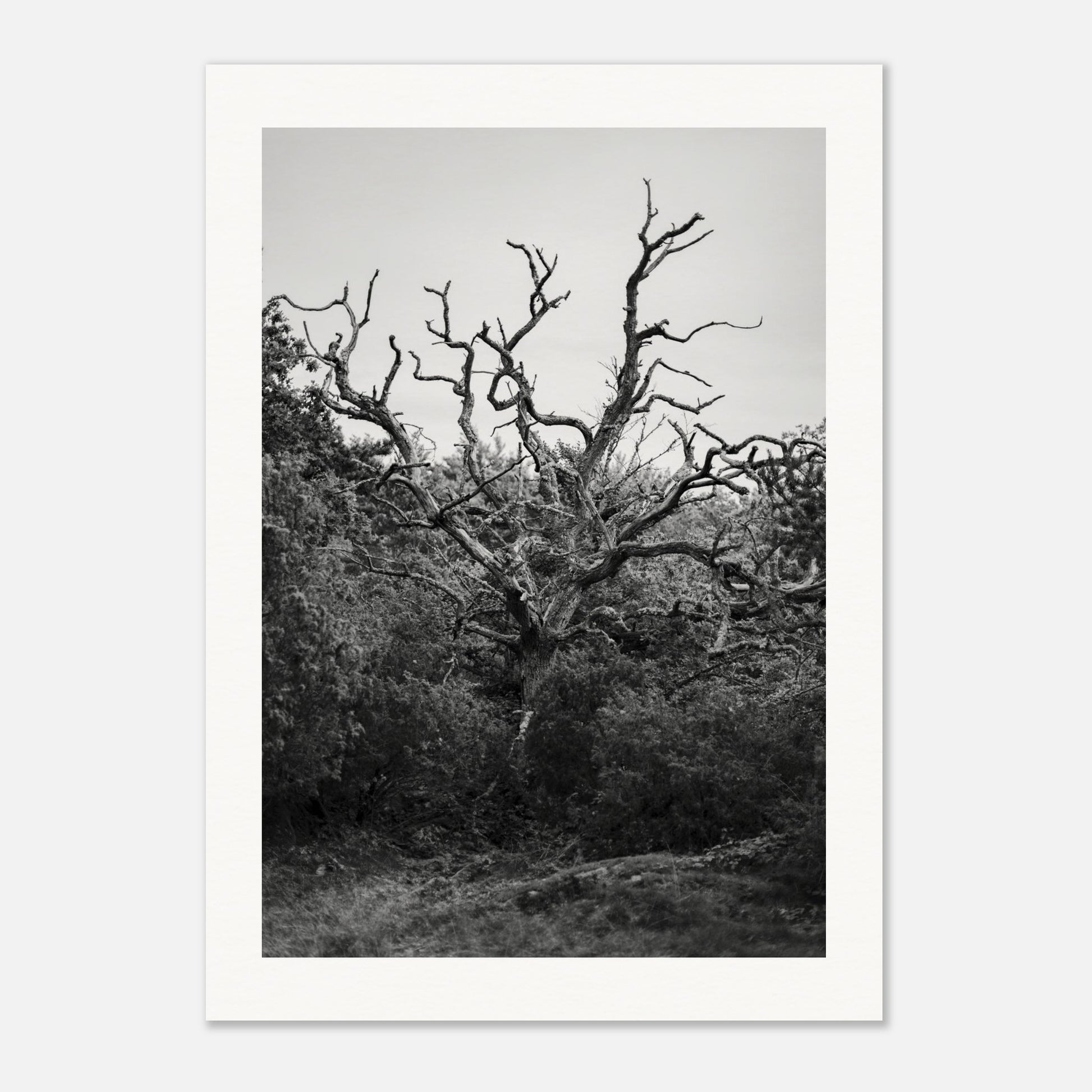 34dad097-4a58-48ea-a388-d5ac65ddb857