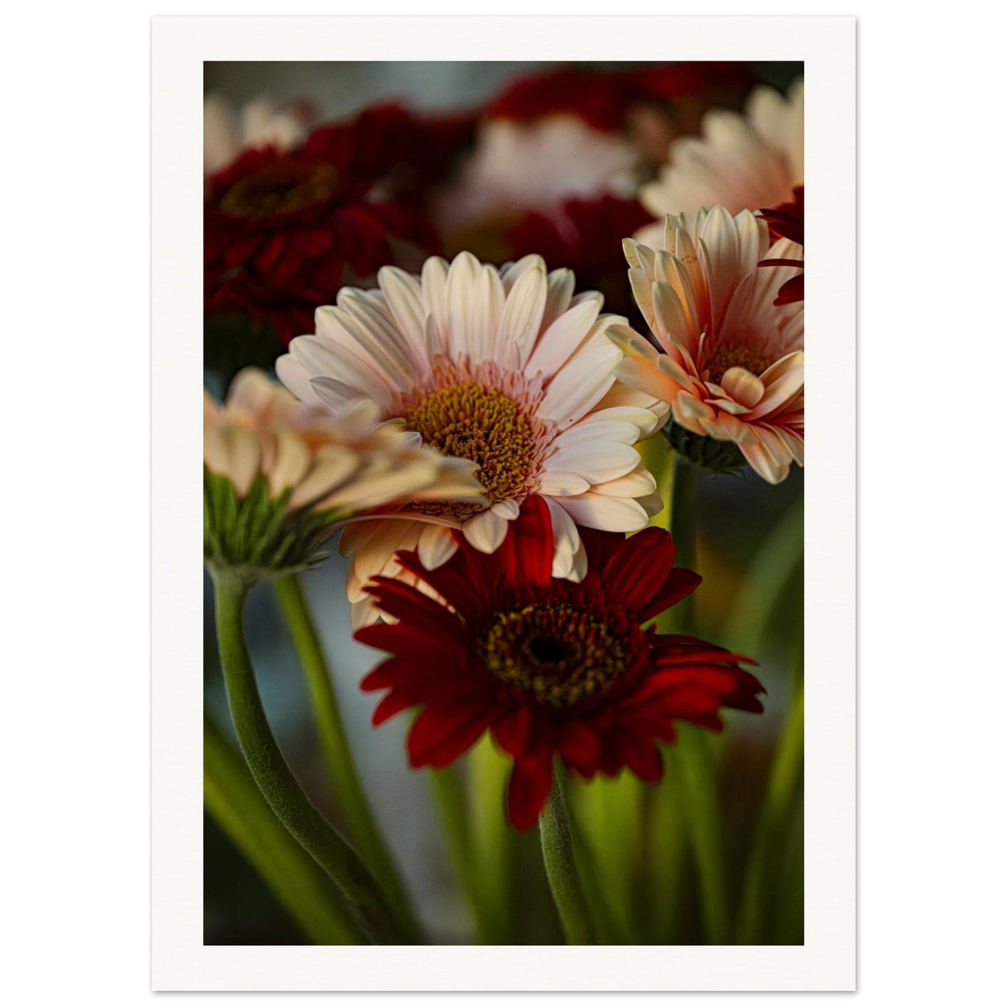 3582c069-2a60-4918-8aa4-85ffddeca64a