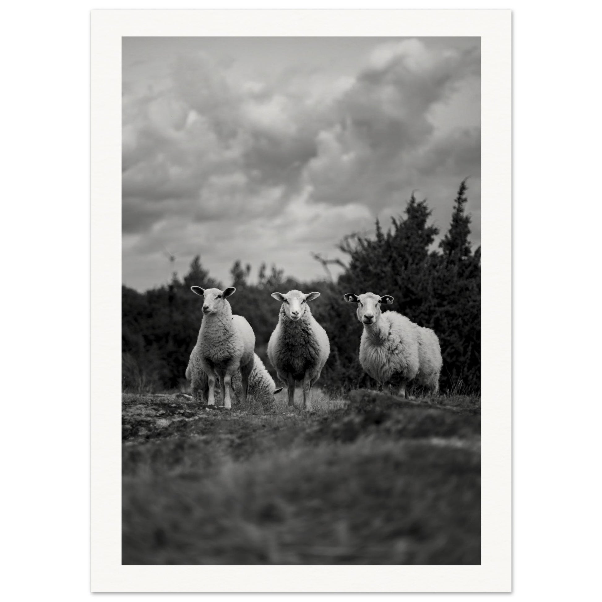 35db835c-6709-4f82-bd69-62ee14a9b774