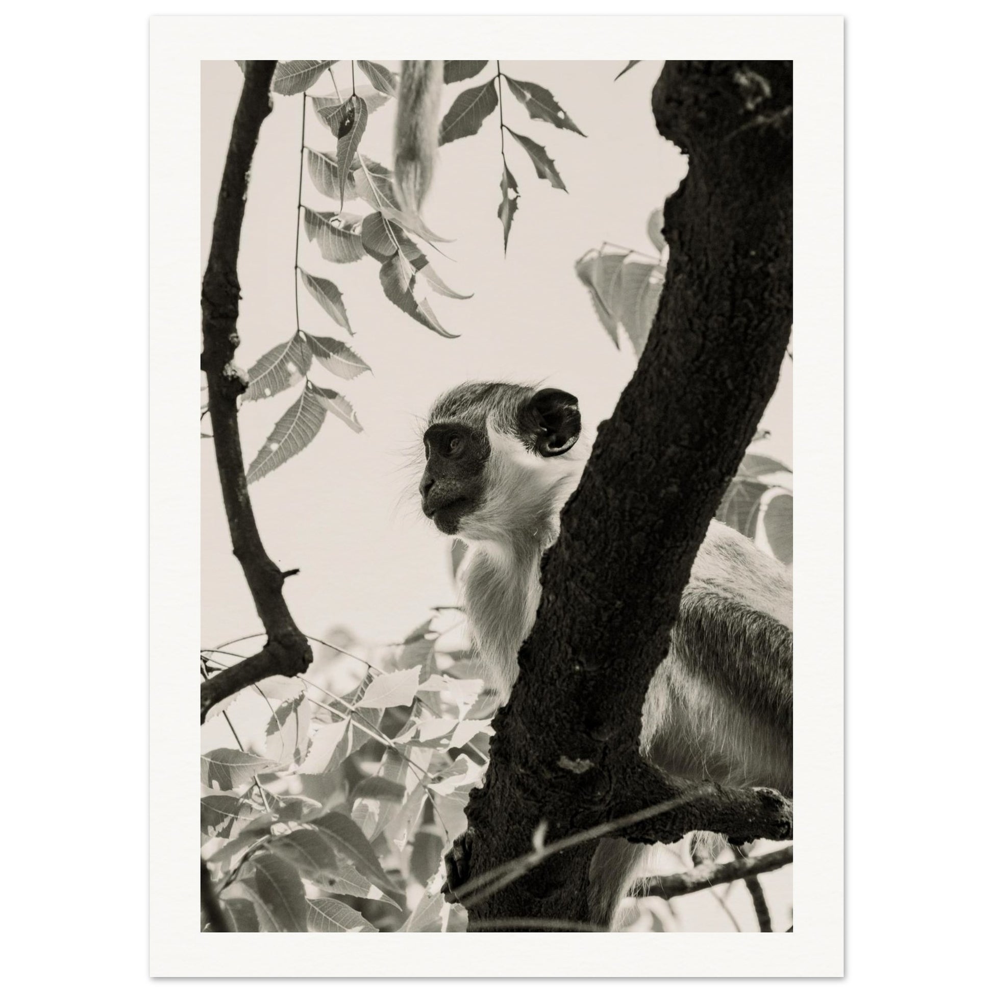 380b1eee-cae3-4731-9b2c-24d619bad00f