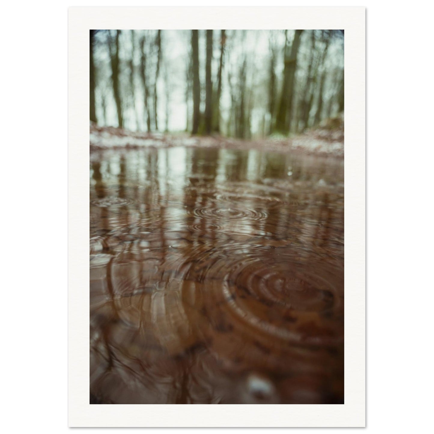 3959e45a-efa7-40dd-a677-60d62447c8b7