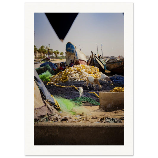 3a0d9546-96fb-4f9d-867c-3f4ed78776ec