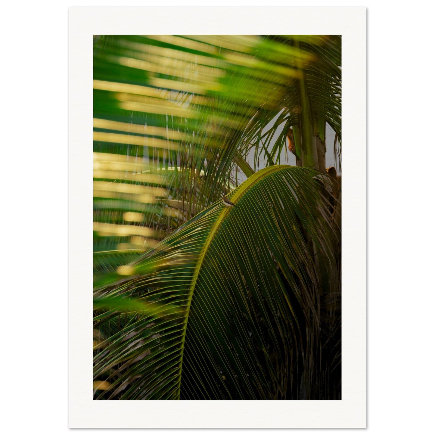 3a3b6006-6c69-4478-a9a0-e0990a8823bd