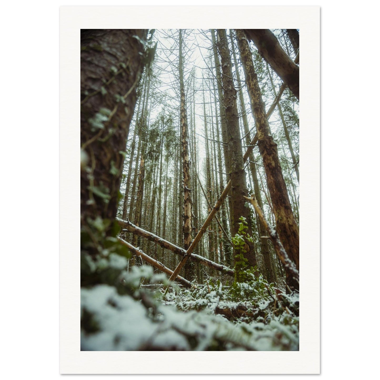 3a7b3f4b-6931-4eb3-b656-d8f10bad9e08