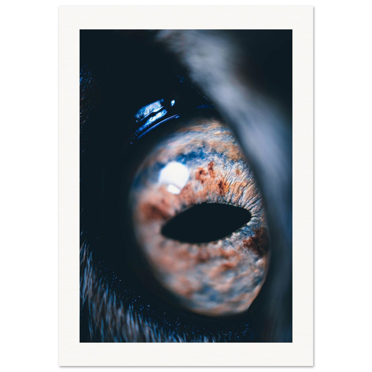 3af15855-9355-45eb-bc5c-77963e87cf7c