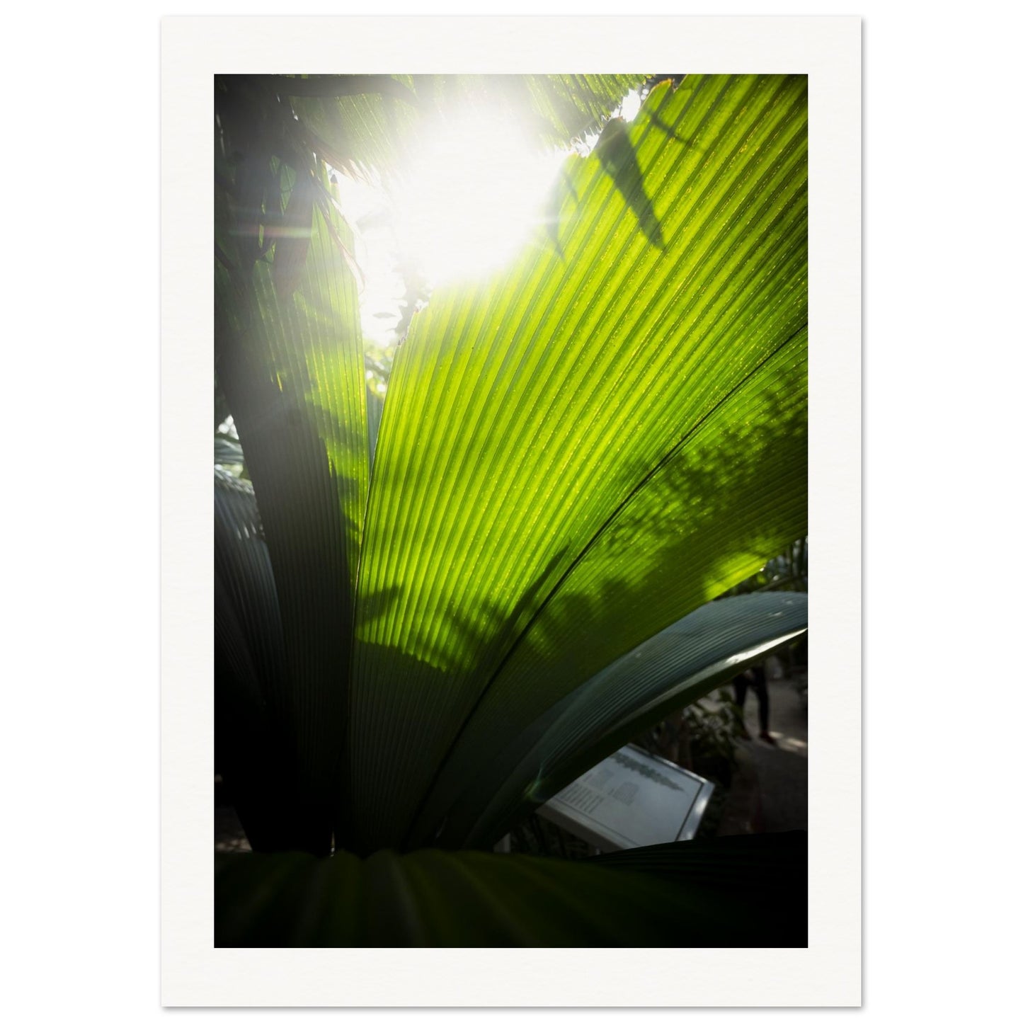 3b7750c2-7bbc-450e-af7e-02390bf65bd2