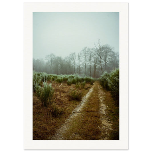 3bc31865-3d6b-452b-87f4-e03252f37159