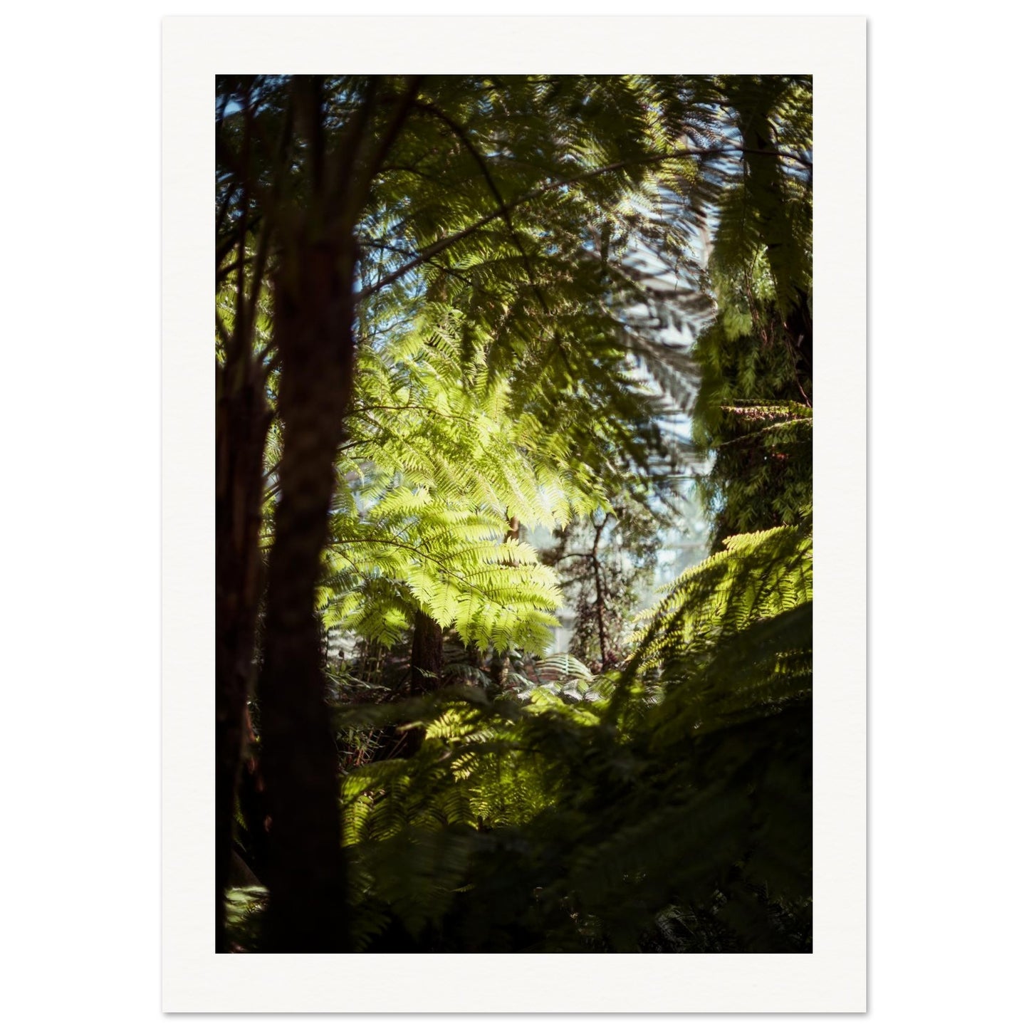 3c994432-8ca6-4f96-8605-5c954f68eb3c