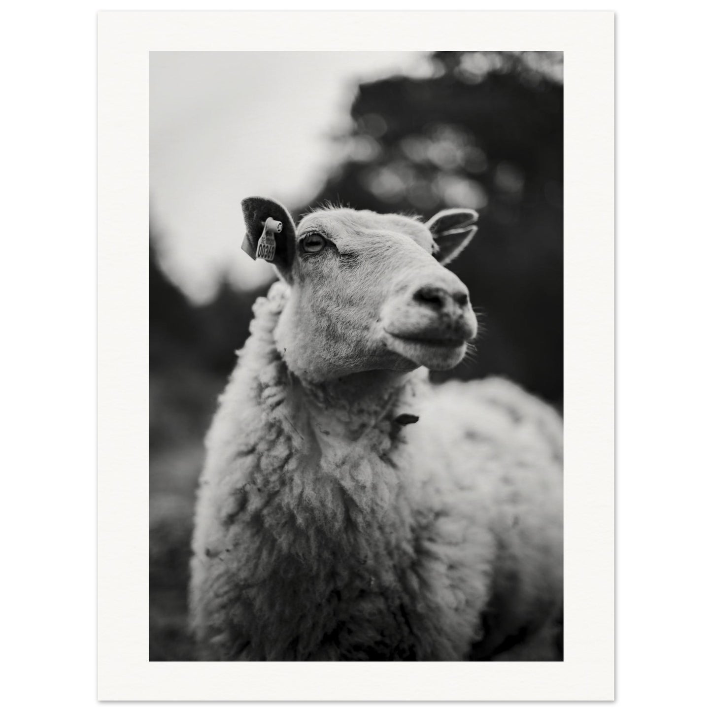 3dc3cf62-6c17-4655-80df-1dc4df8586d2