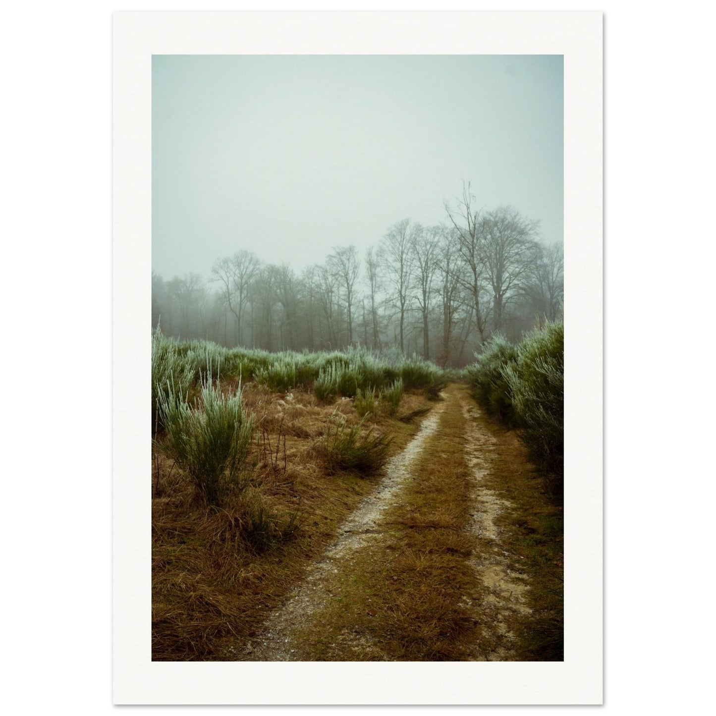 40a147e9-0b94-467c-a2cd-30383e708f29