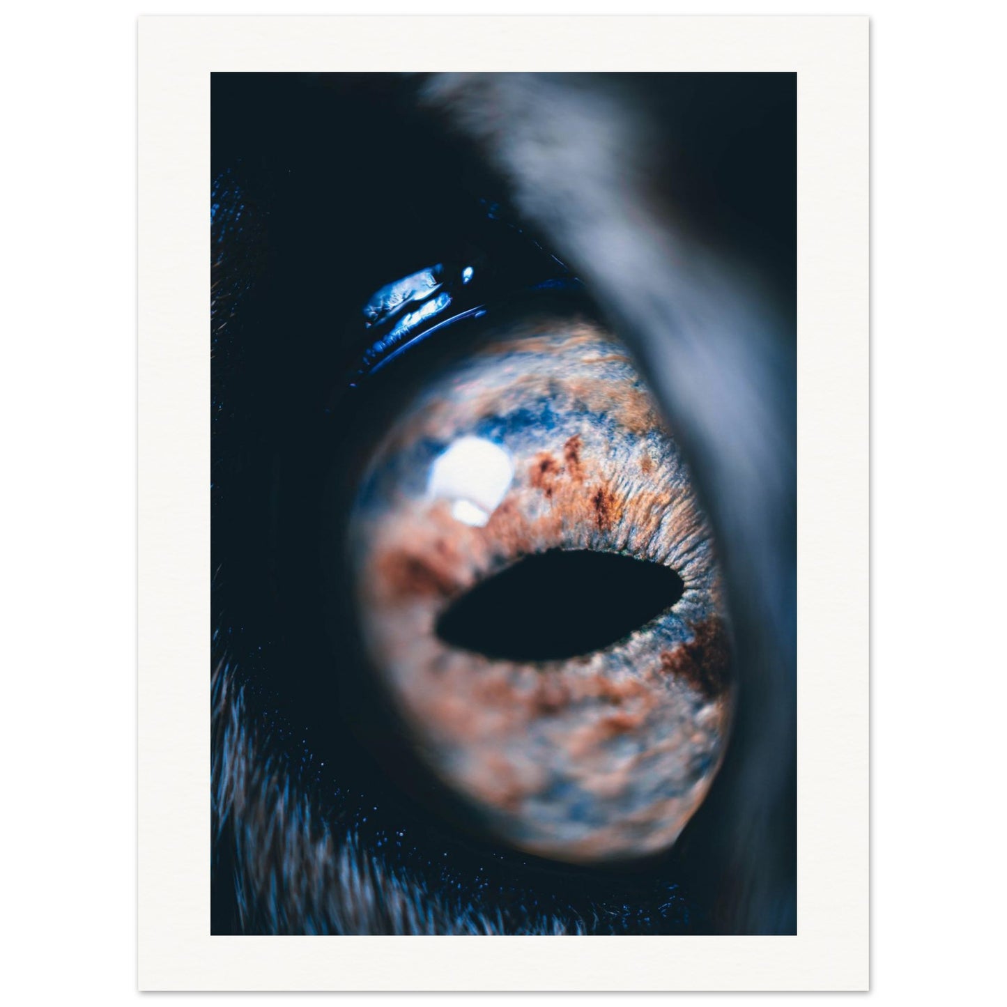 42891ec4-132a-4d76-b4f2-421e39d0feed