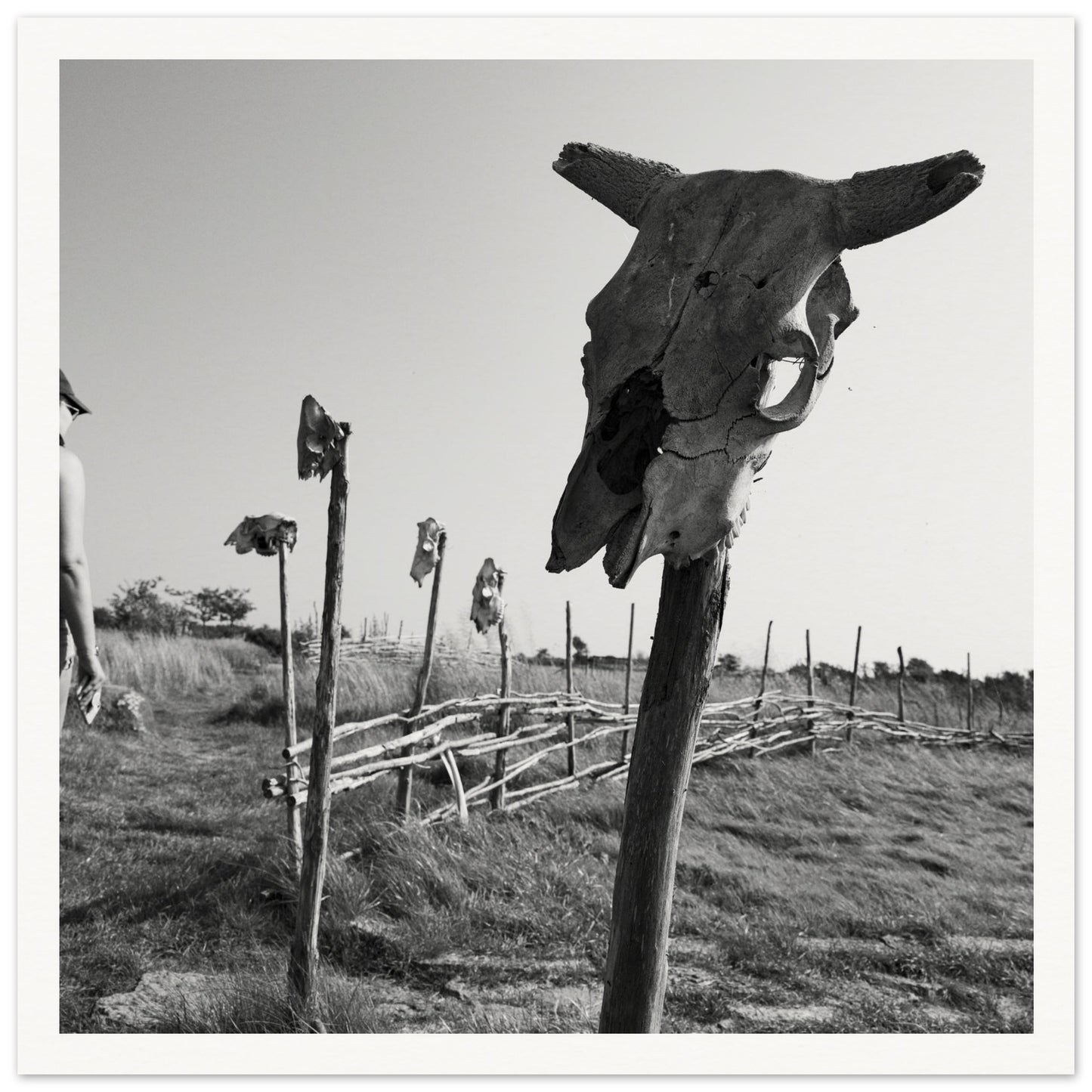 42eac691-5f9a-4b37-9712-7e48b46bf004