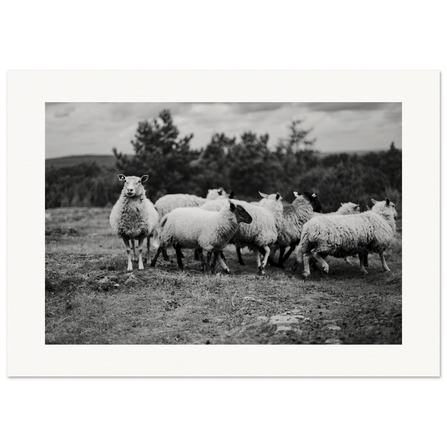 42f37390-fe99-4210-8d26-3391d3f38469