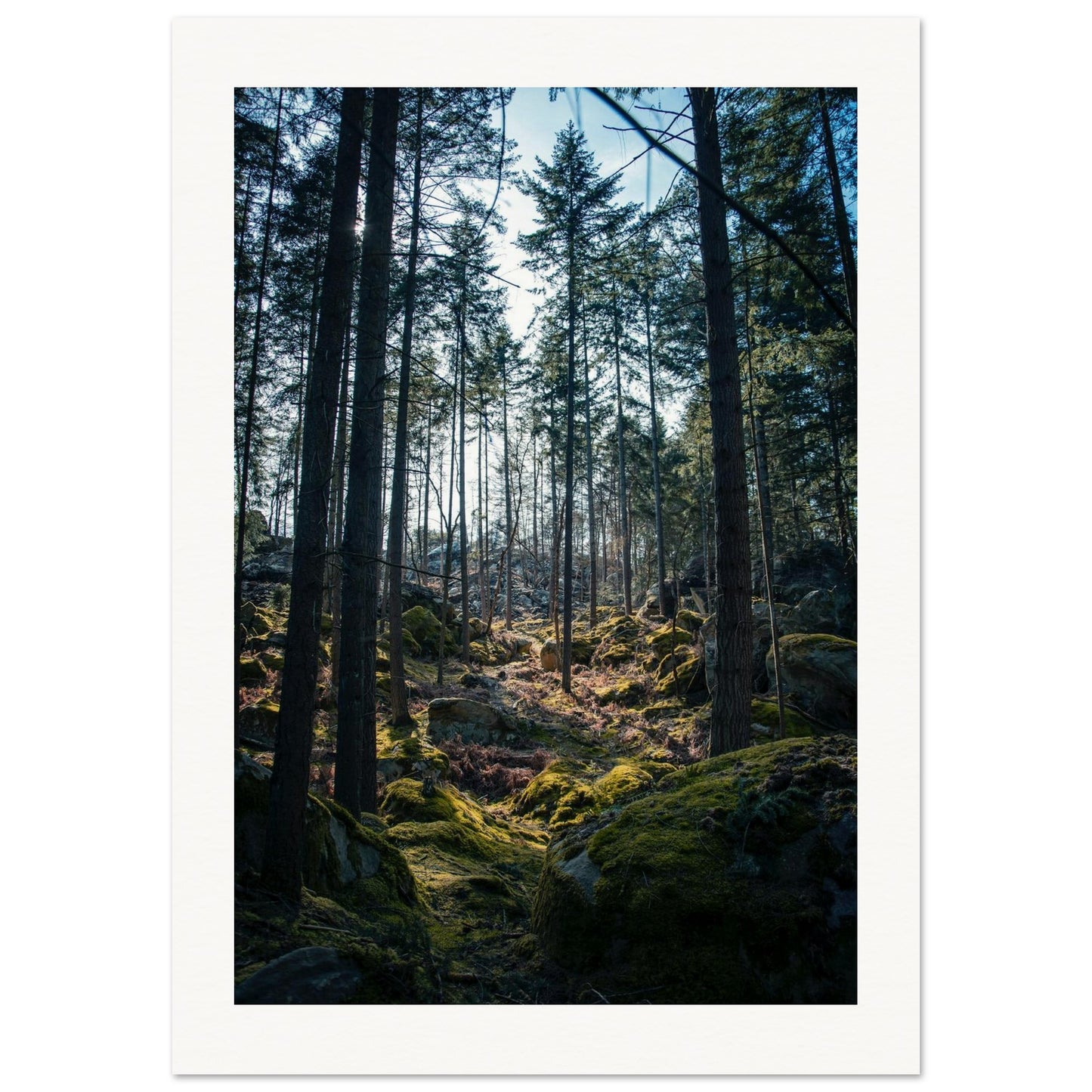 437a2c04-3dd7-4cda-8a2f-0d438ac6fb19