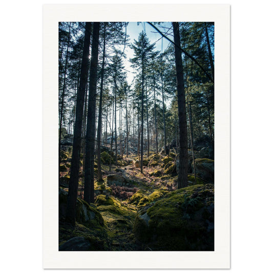 437a2c04-3dd7-4cda-8a2f-0d438ac6fb19