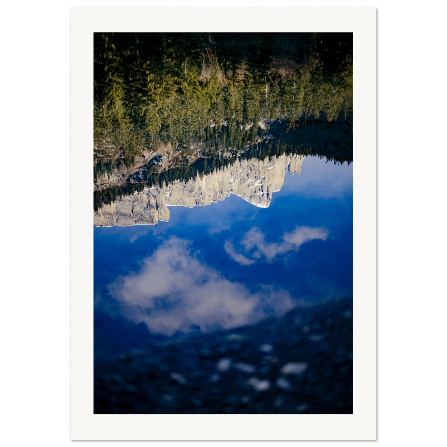 4482517f-9443-430c-b980-29bccaa90e5a