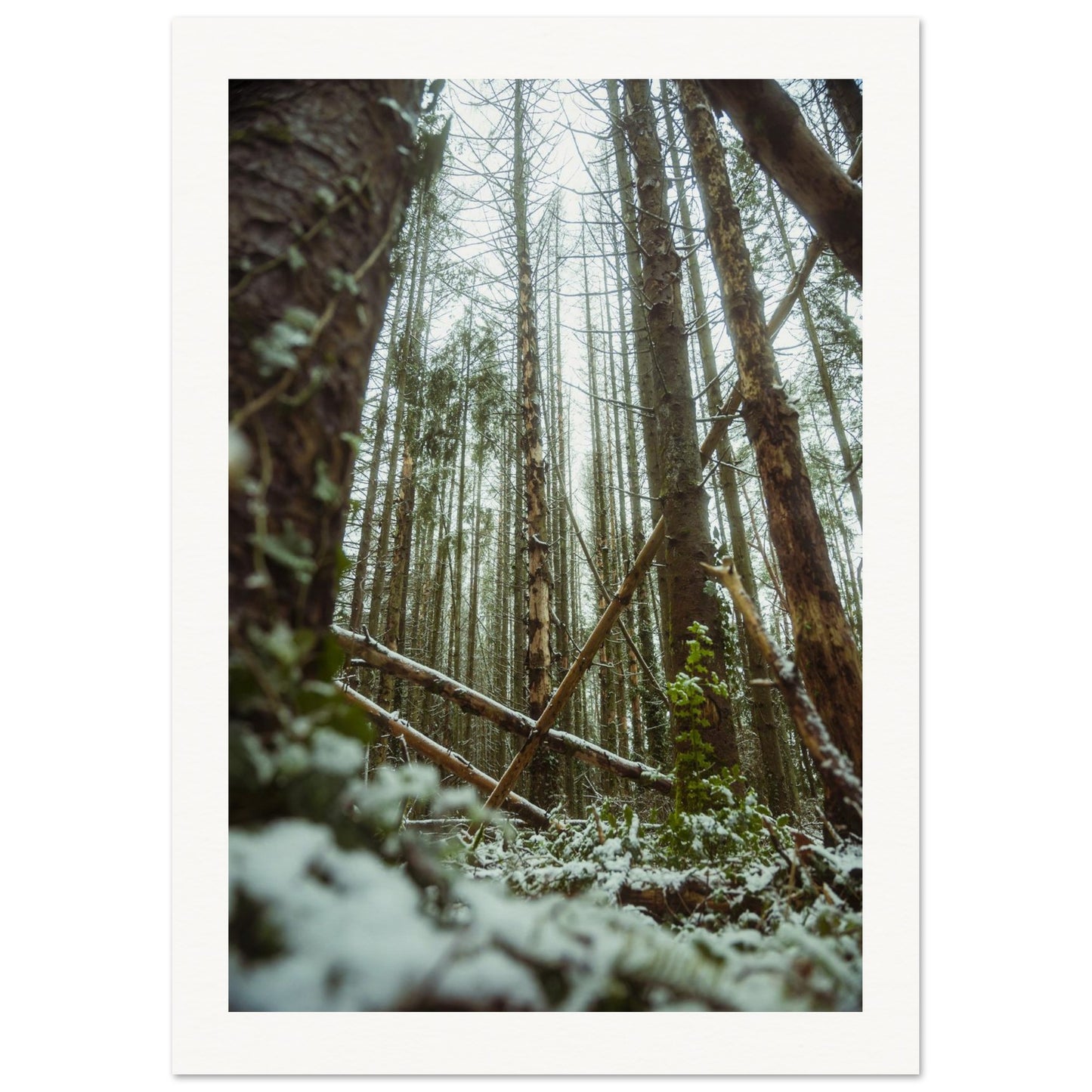 45668ee2-df8f-4f94-b46d-901043b4e551