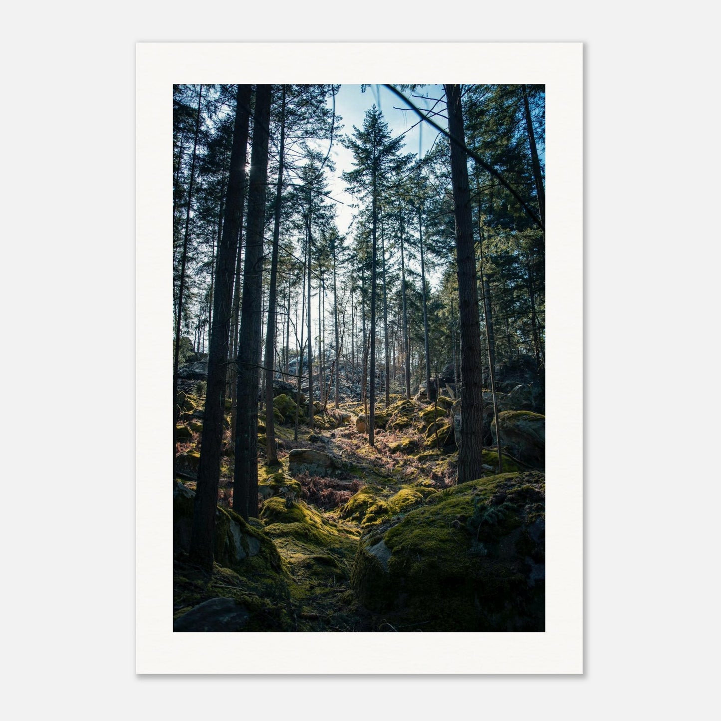 478a632f-50cd-4ccd-a953-4cae8f0aaac7