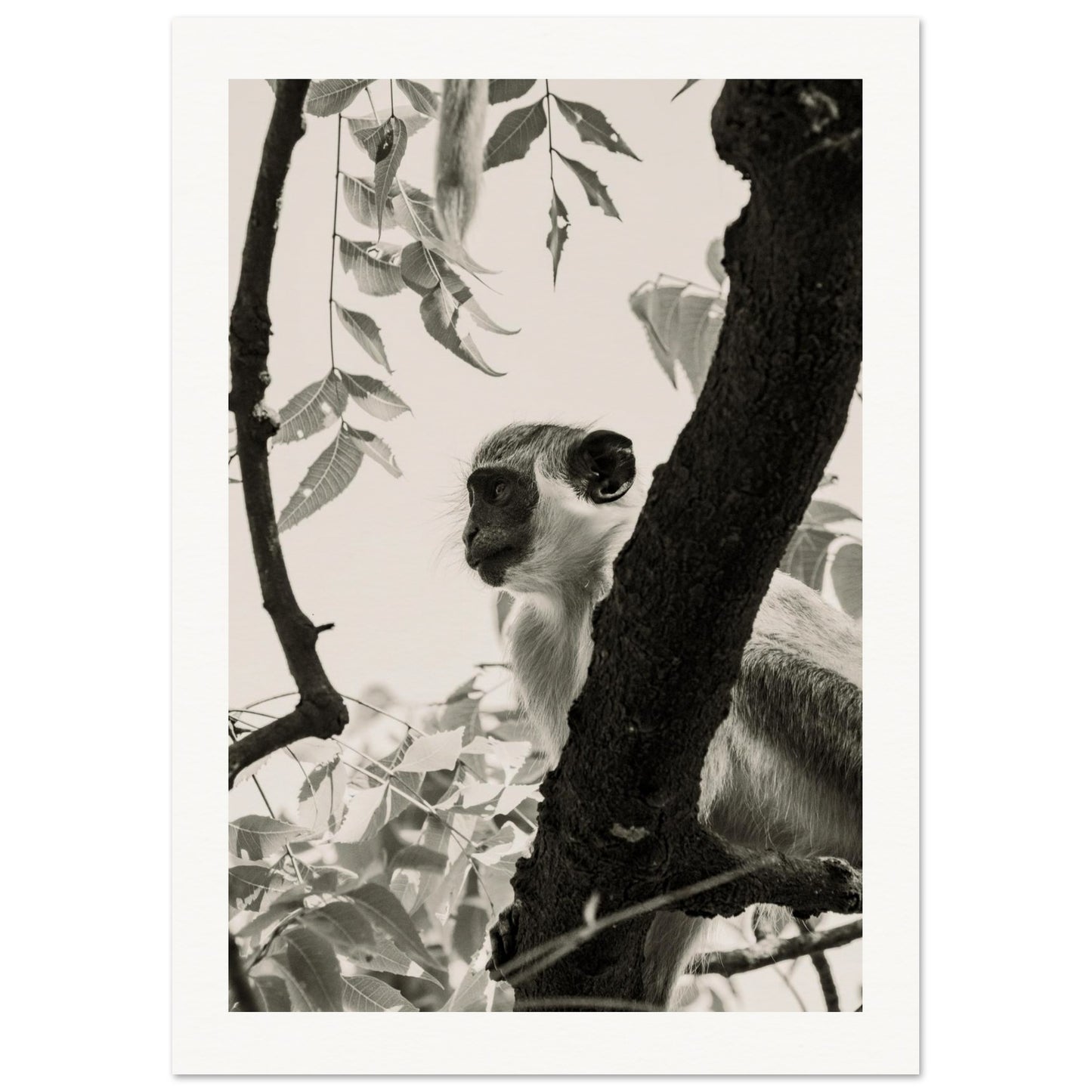 4a9969dc-9b07-47cf-a200-e159c2ce86ce