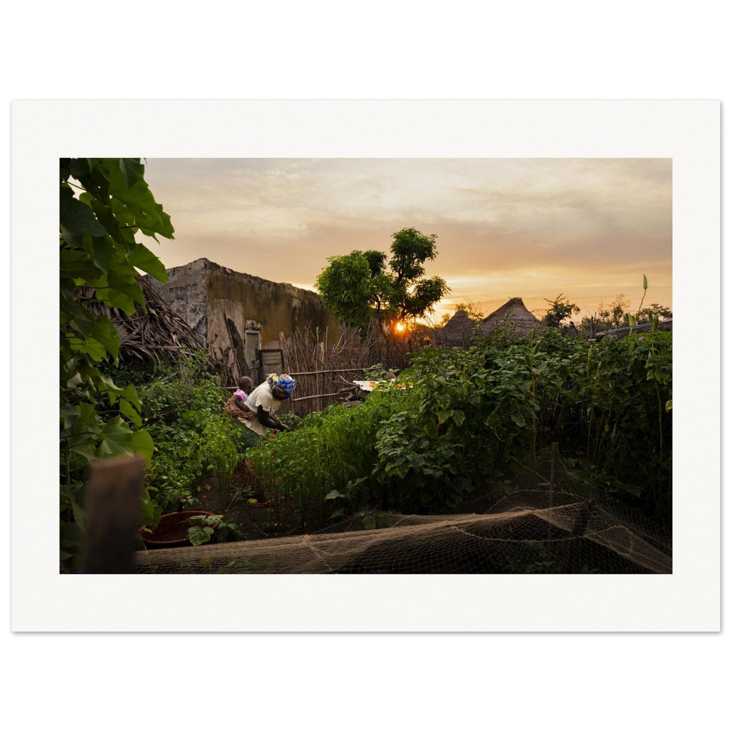 4c440a1b-723f-4114-b530-a307d17c5def