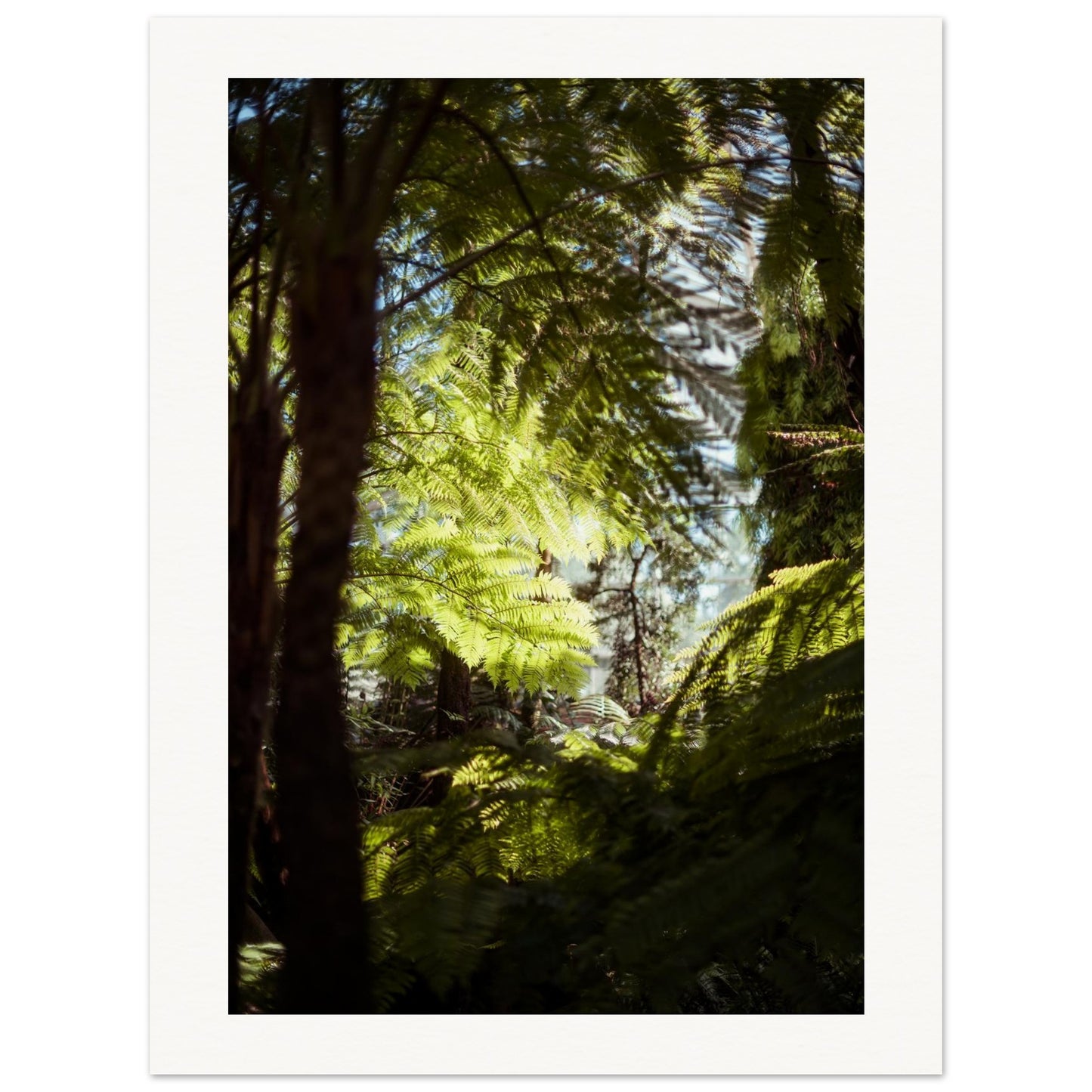 4d5c9a75-6c4a-435e-869f-6ab966692e49