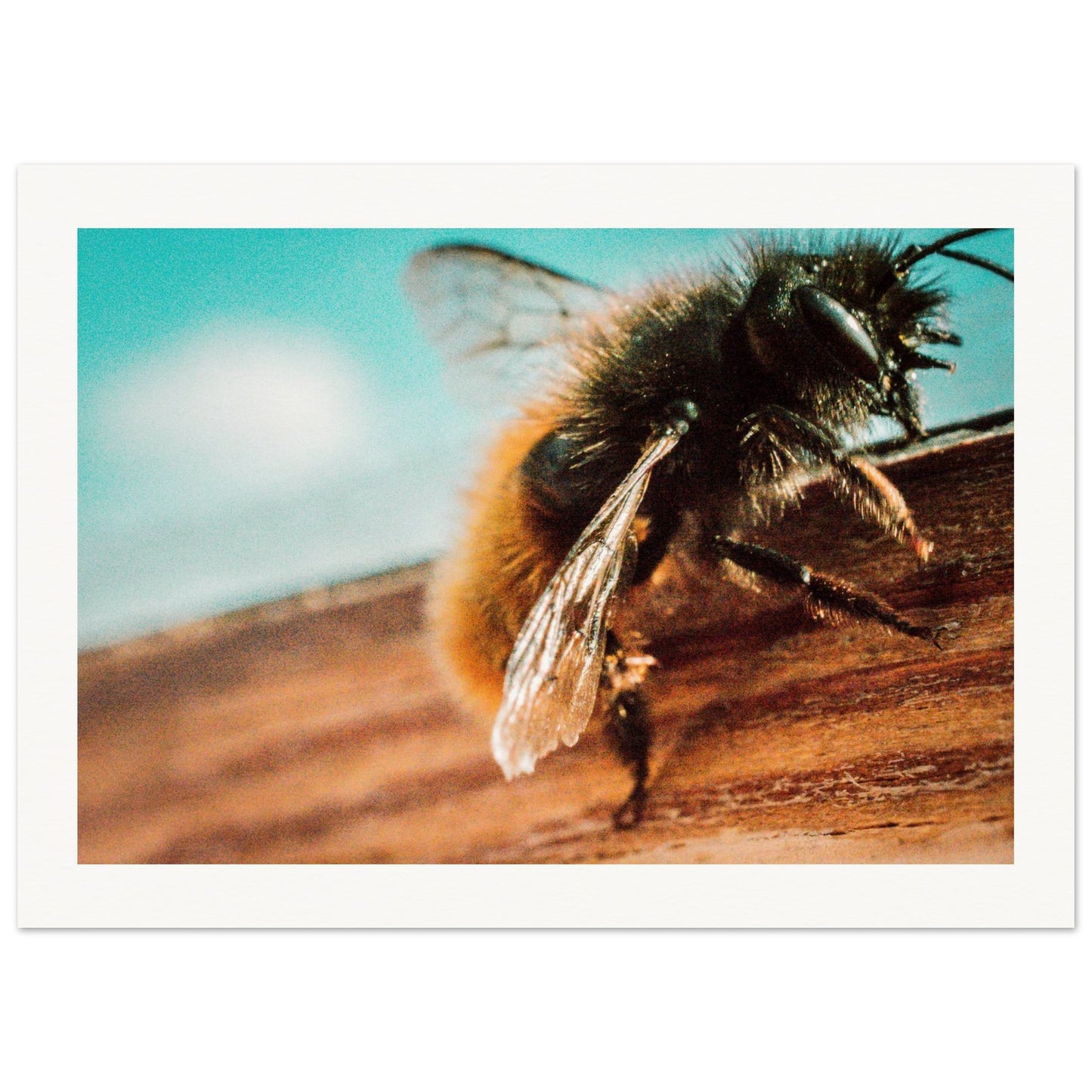 4d77c361-351e-4d68-962d-065407184908