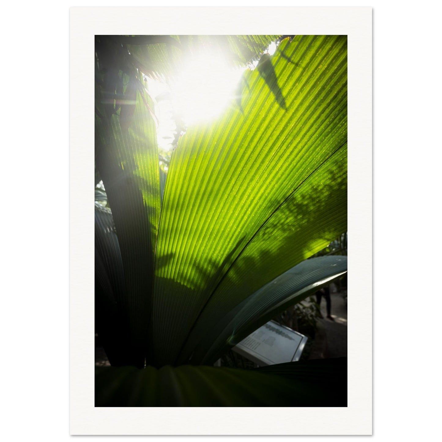 4db1d237-a9e9-4980-b27a-54108fbf5cf2