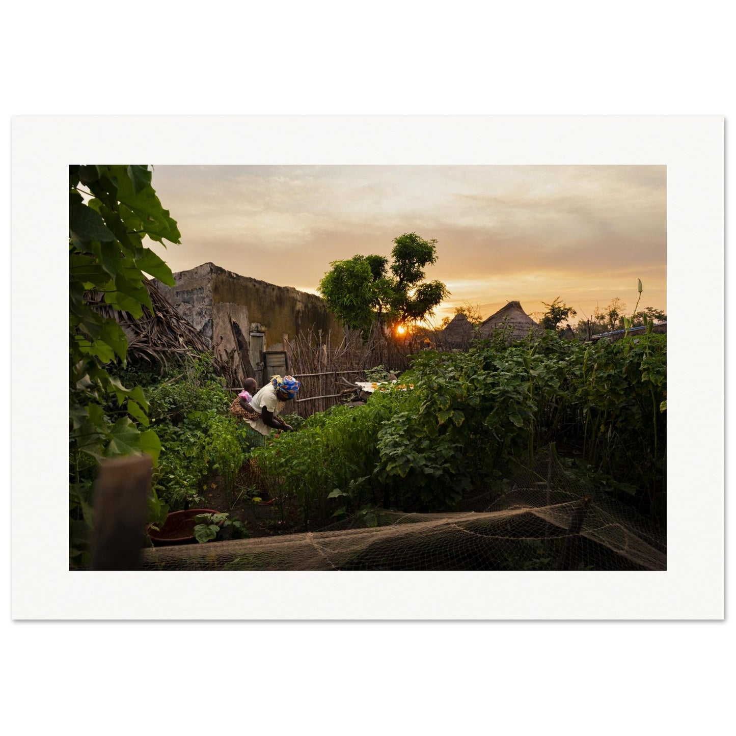 519417bc-4429-469c-b59e-dc2d13d0cc57