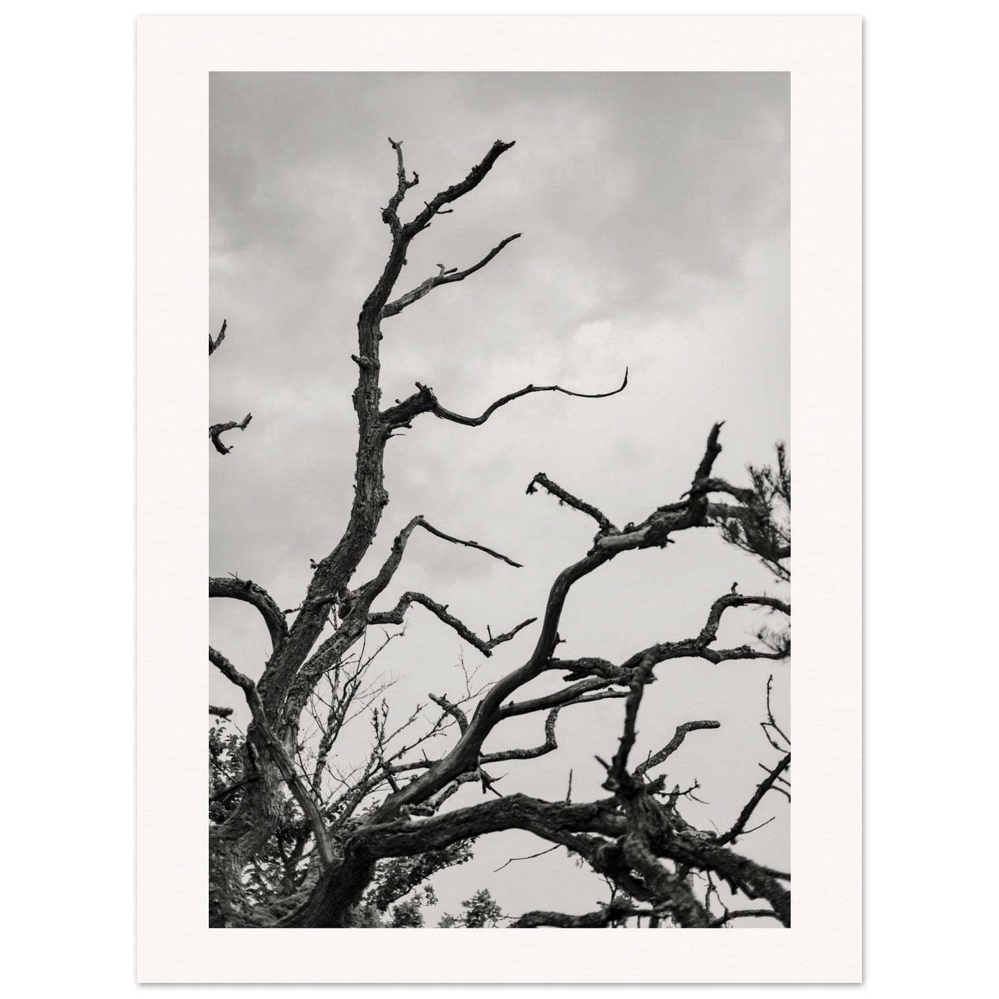 523f22f7-debe-41a6-81c8-75e0db402418