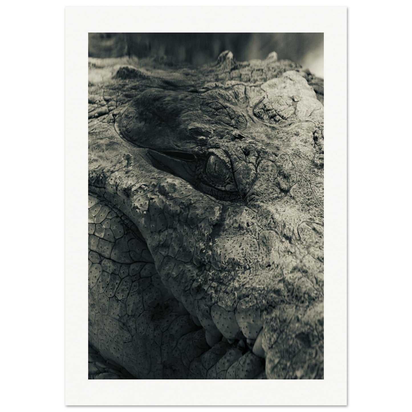 536c4940-0e6a-416d-bb5a-acabe8244690