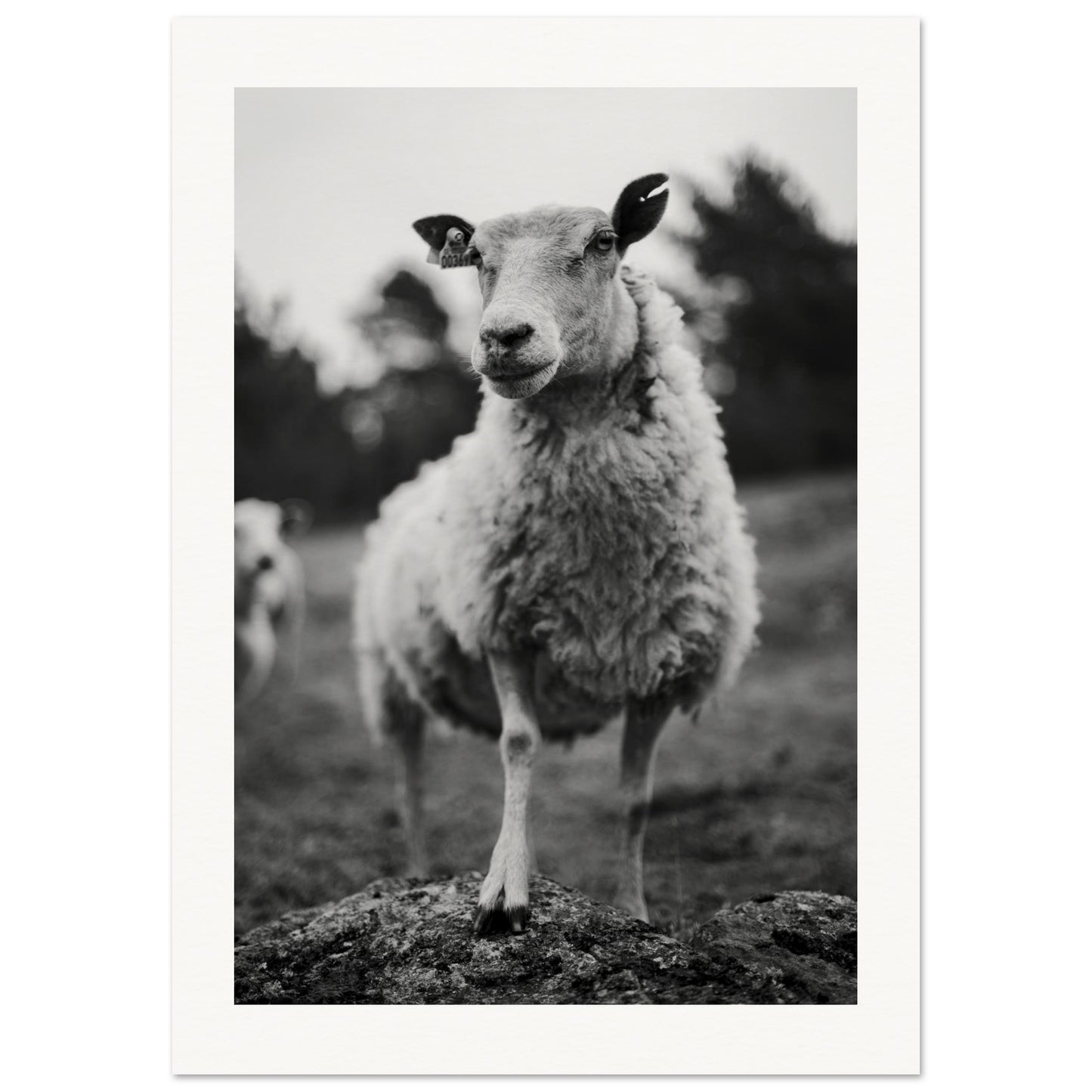 53cf1bff-182d-4bf8-ad31-e880b4c1fcc4