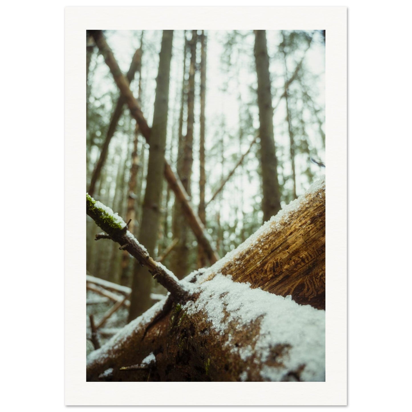 53e93965-349b-4c77-98d0-2a32336f6283