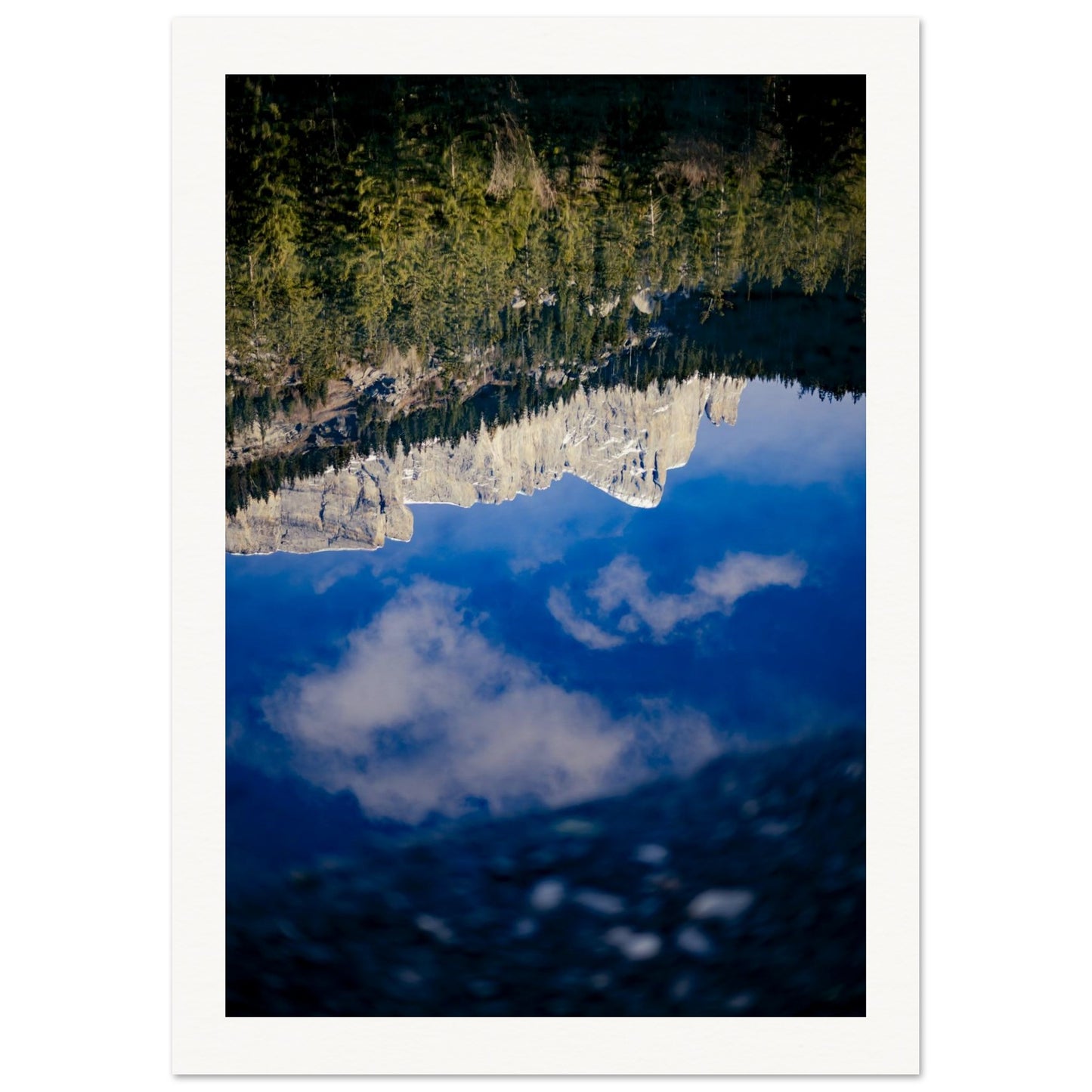 53f06e87-880a-4017-a066-7d671f7ab359