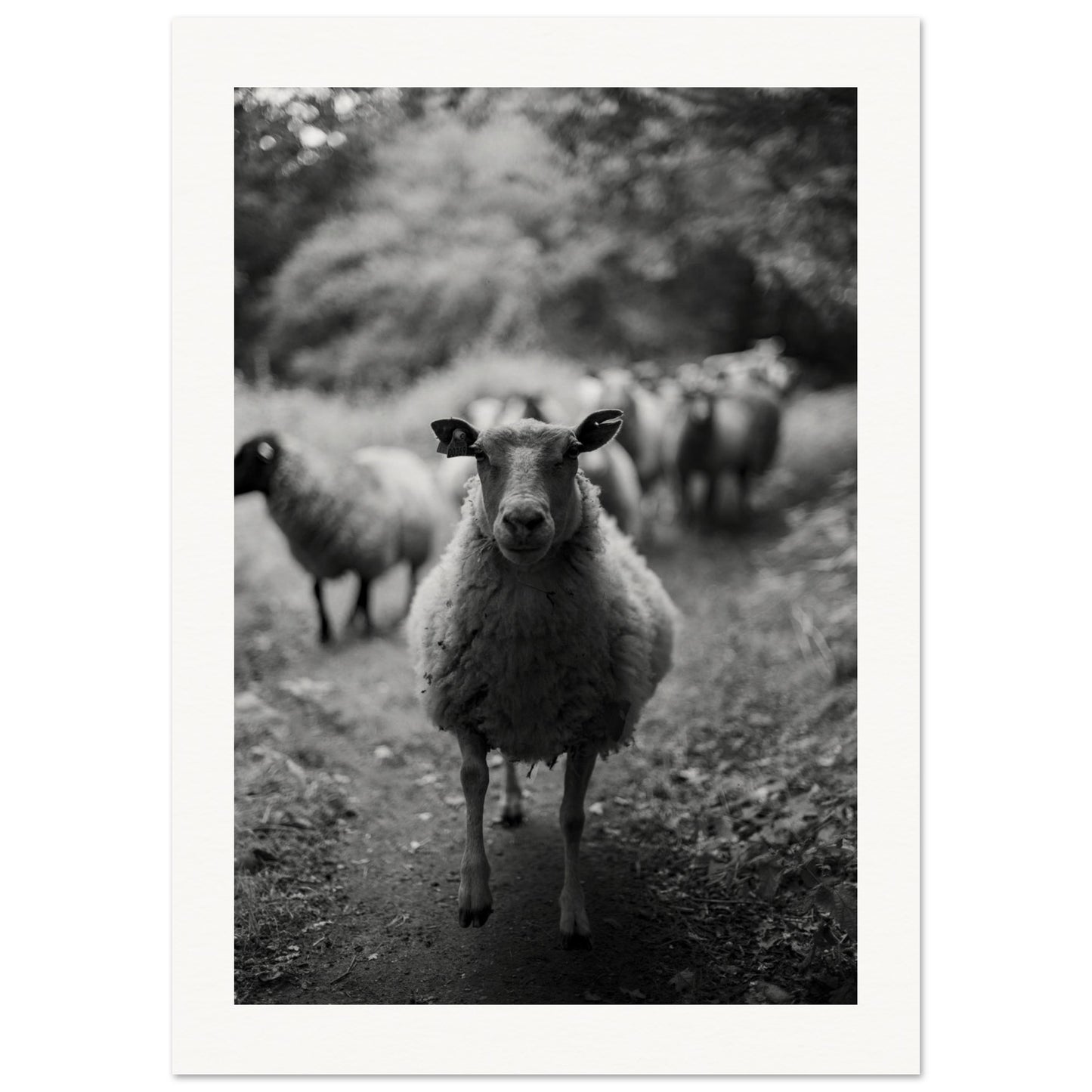 544257c2-fbb9-4e95-94fd-6e04eb0bbf23