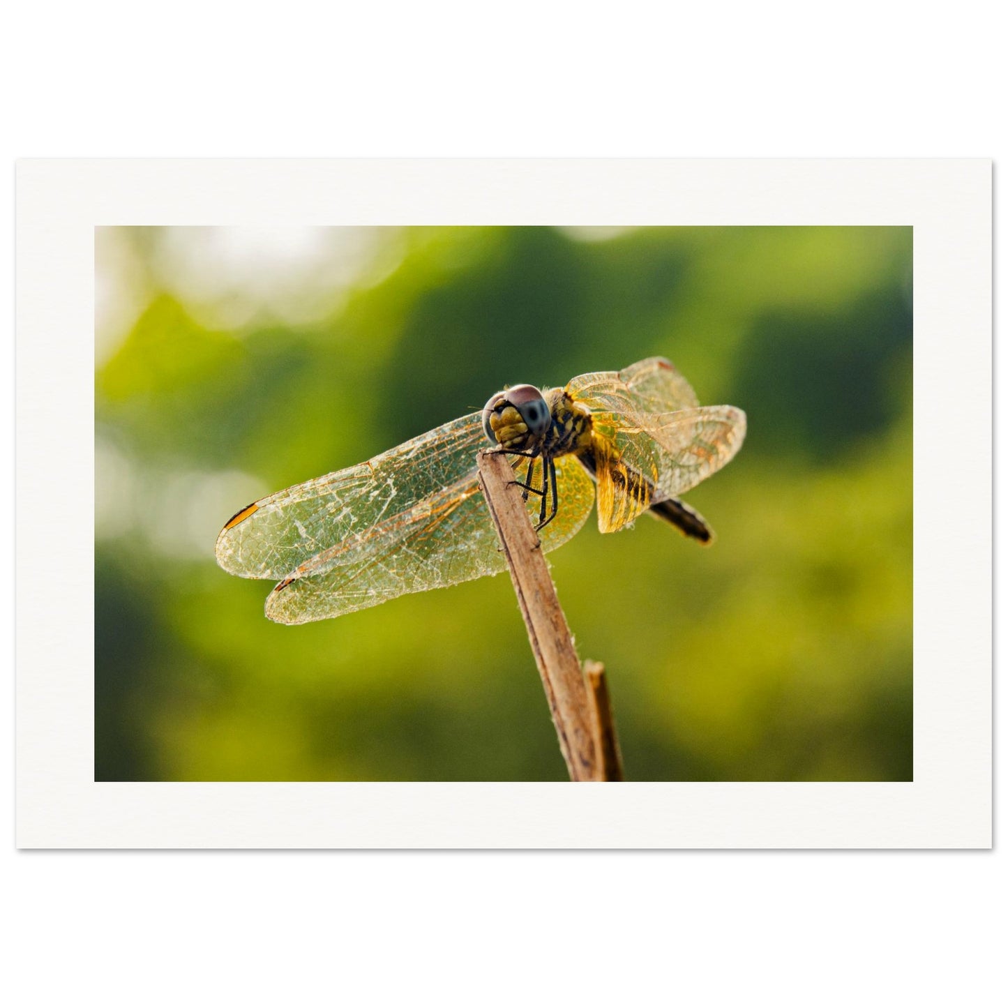 548a888f-947d-4215-9e9d-2c18a4057315