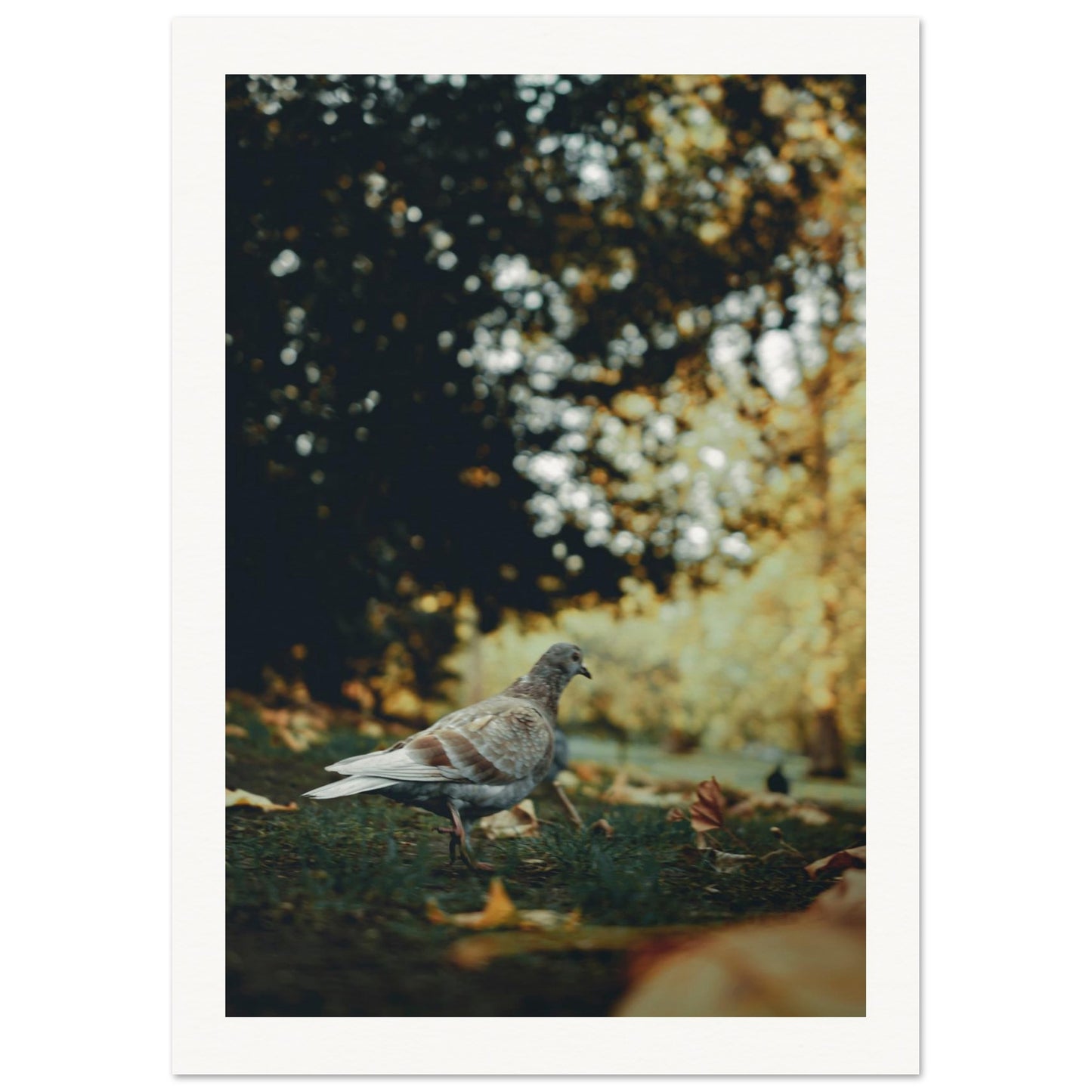 564293f6-fe9f-42c0-8bf8-76a6323fc549