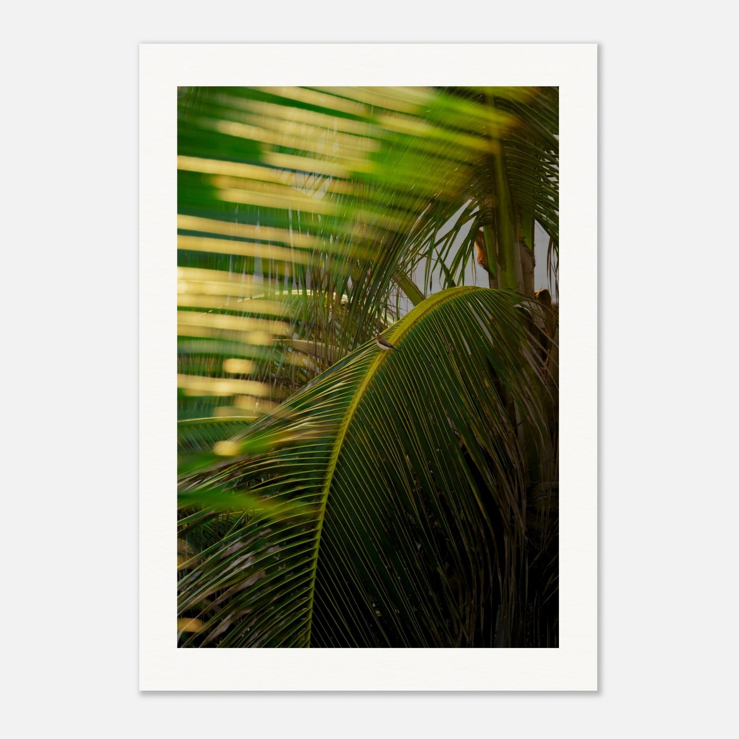 5850aa87-a6c0-45d9-91c1-afa4813de19a