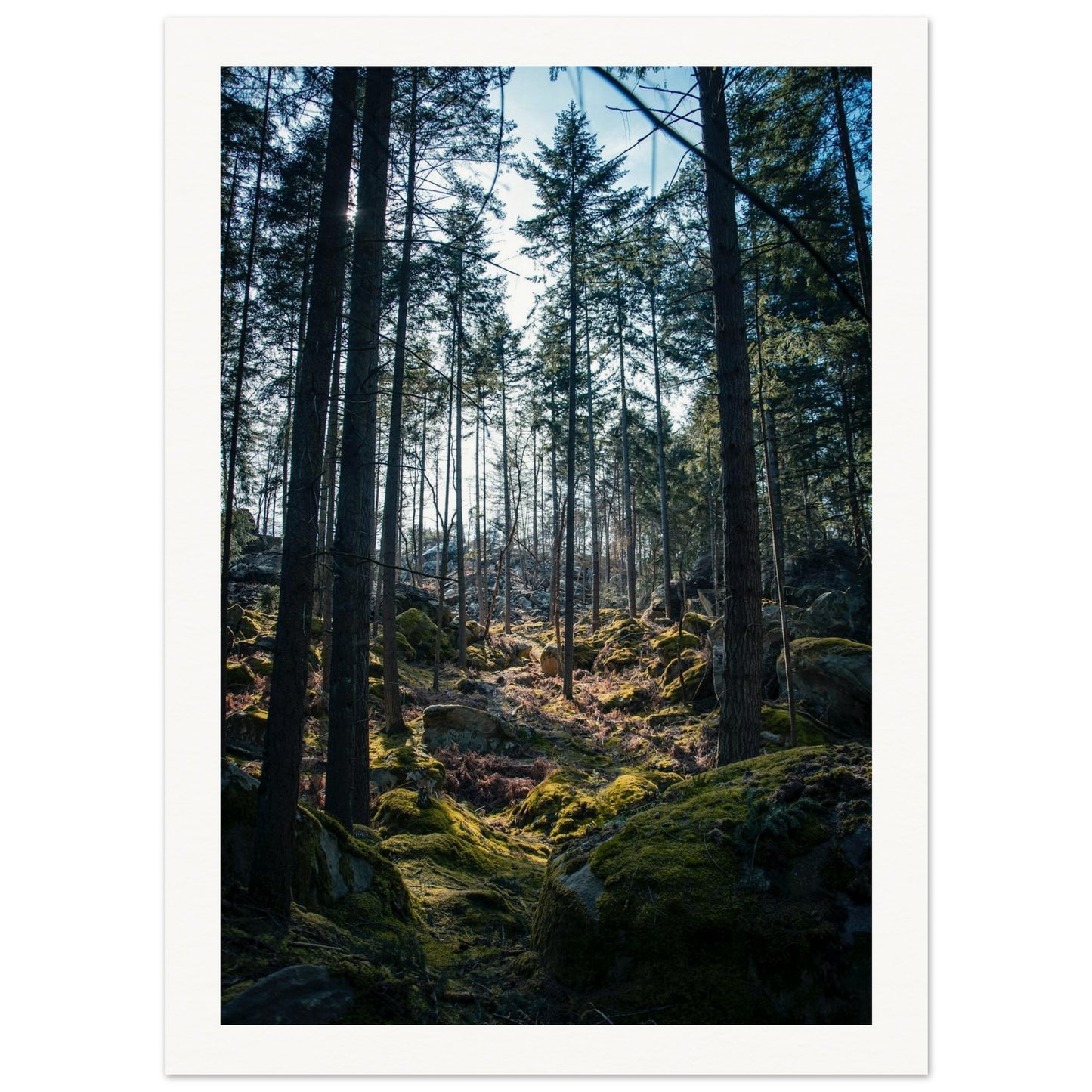 585183ce-9cf5-4d07-8077-e858338c3152